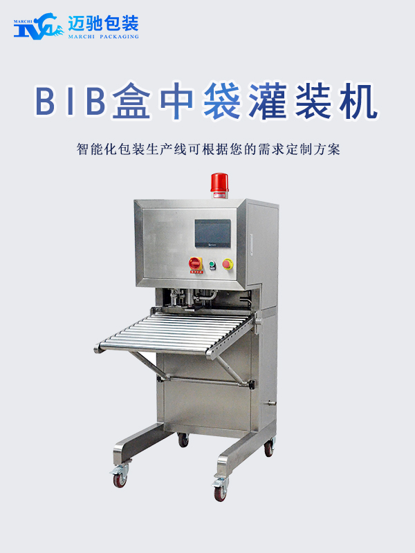 赋能食品工业：盒中袋BIB包装机技术行业应用与选择指南